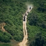 ce43b2e7-9679-4931-8800-af3790f868ea