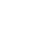boat icon